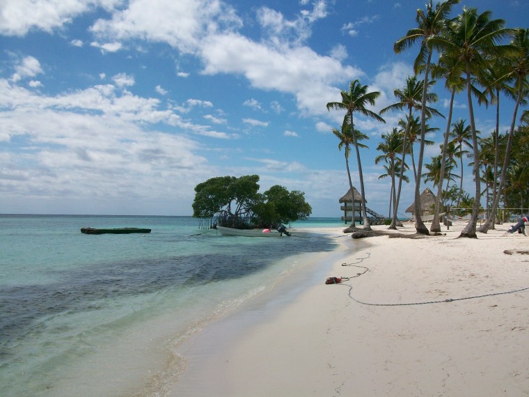 The beach at the Punta Cana Hotel