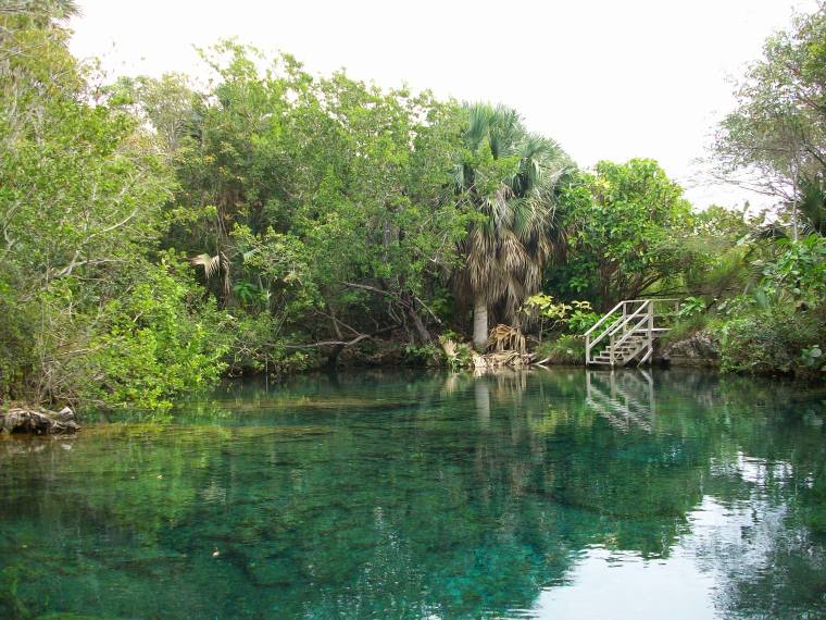 One of 11 lagoons at the Indigenous Eyes Ecological Park & Reserve, located on the grounds of the Punta Cana Hotel