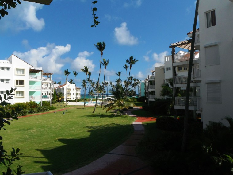 The view from my writing spot.