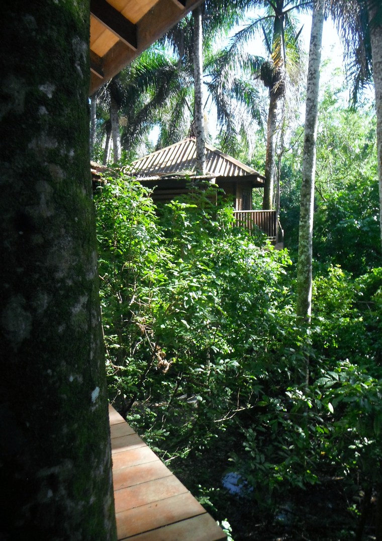 Treehouses at Rancho Platon