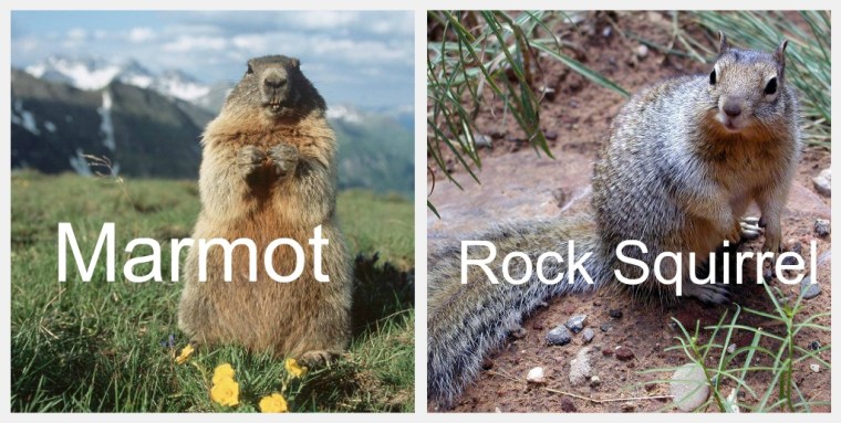 Similar but NOT the same.