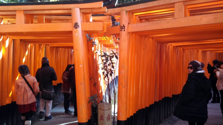 IMG_20140207_113212_282