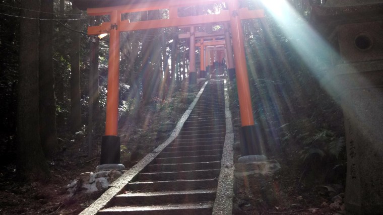 IMG_20140207_123408_223