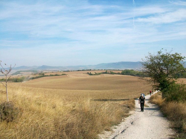 297864_684226522531_13005434_35116387_930334047_n