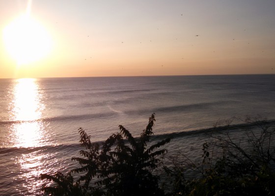 IMG_20141108_164841_416