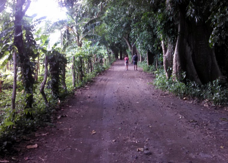 IMG_20141201_091008_725