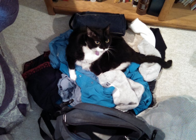 IMG_20150111_135023_523