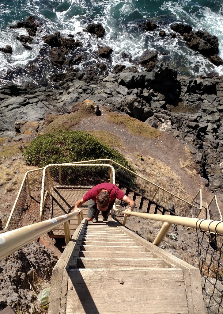 IMG_20151225_160124303